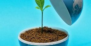 Δήλωση της Ντόρας Μπακογιάννη για την Παγκόσμια Ημέρα Περιβάλλοντος